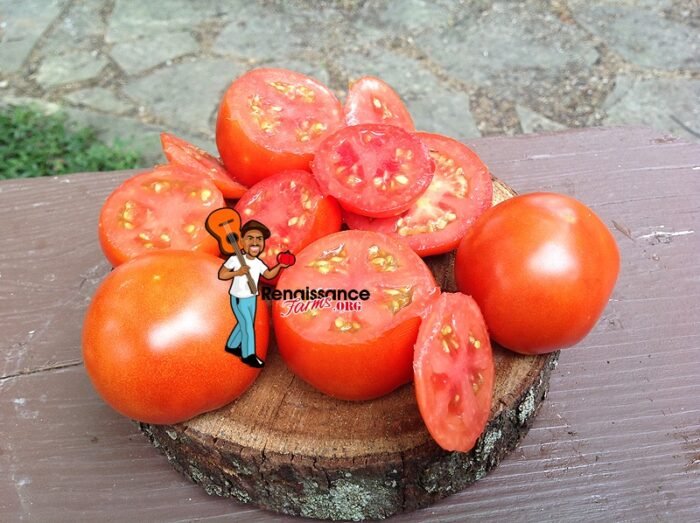 Lucky-Leprechaun-Dwarf-Tomato