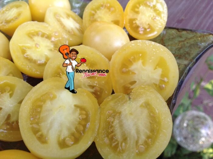 Manduran Moon Tomato Dwarf