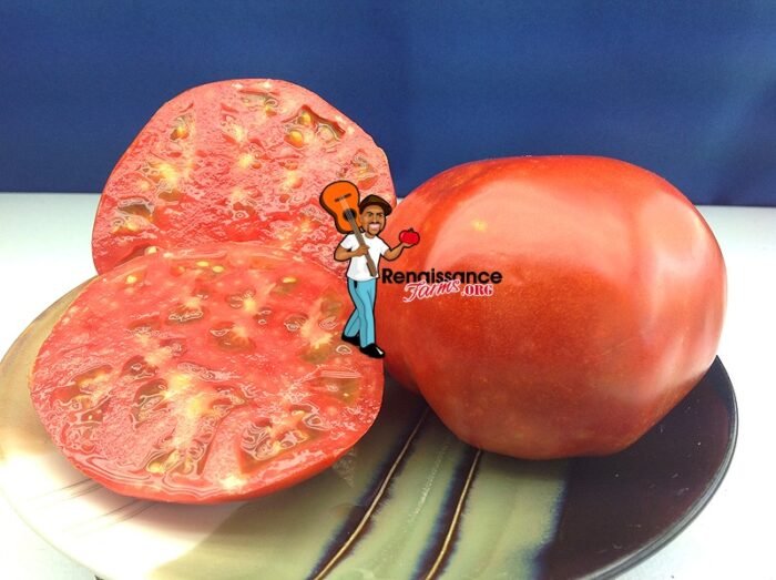 Neves-Azorean-Red-Tomato