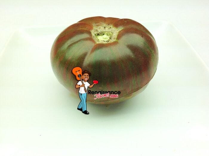 Pink Boar Tomato Seeds