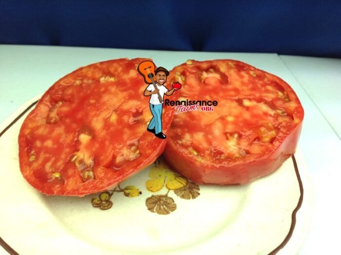 Pridenstrovskiy-Ukrainian-Heirloom-Tomato