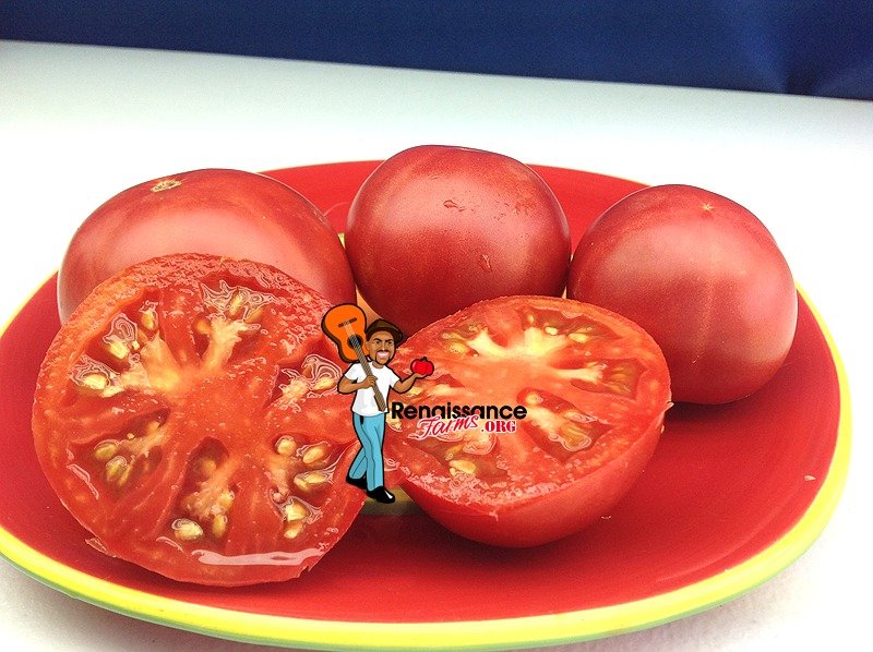 Sovietskiy Tomato Beefsteak