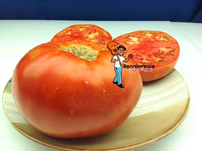 Super Choice Tomato Images