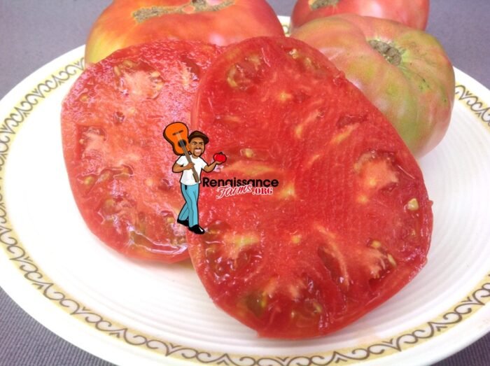 Sweet Adelaide Dwarf Tomato 2020