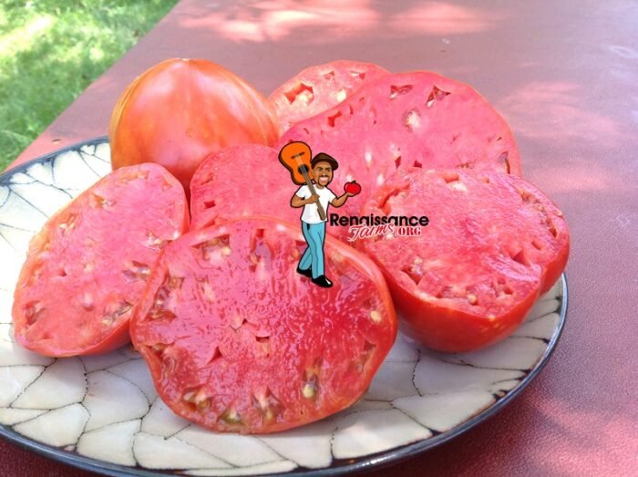 Valentina Doohov Tomato Seeds