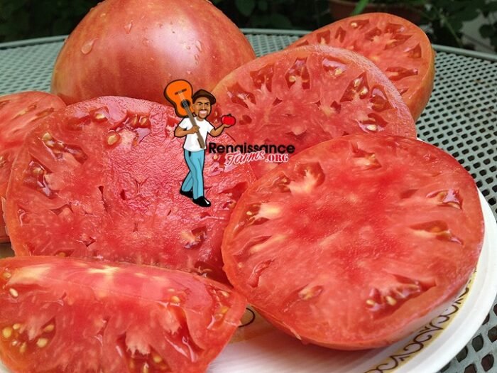 Velmahoza Magnate Tomato