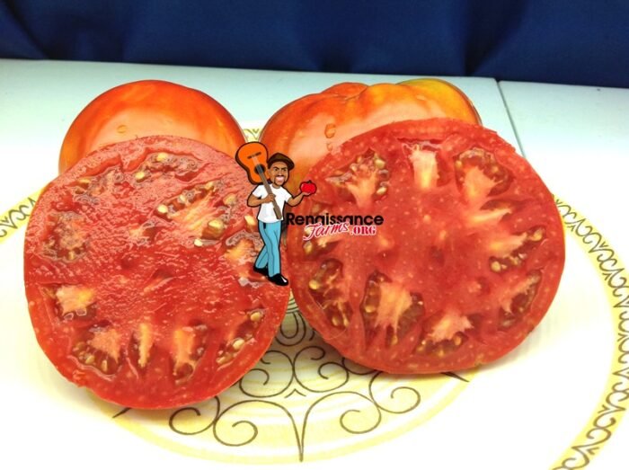 Whetstone-Wonder-Tomatoes