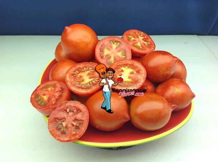 Yubileyny Tarasenko Tomato
