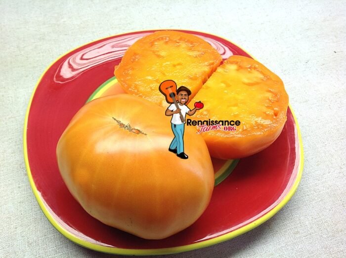 Oranzevaya Zemlyankia Heirloom Tomato