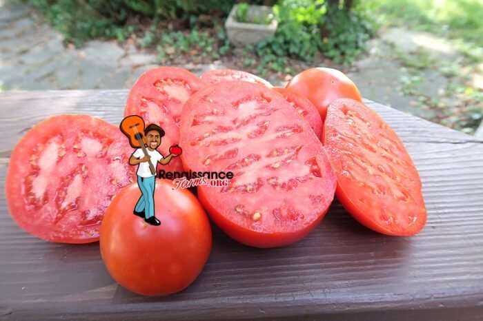 Amateur's Dream Tomato Image