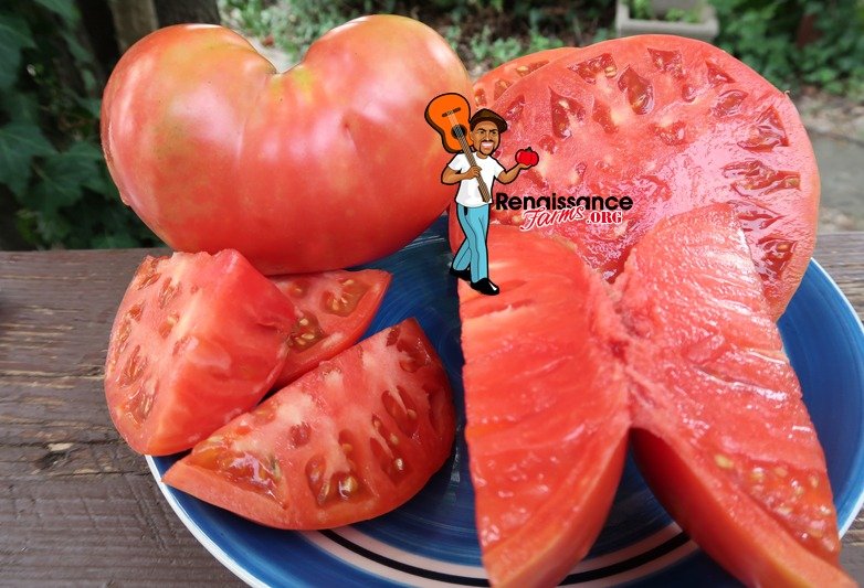 Big Anna Tomato