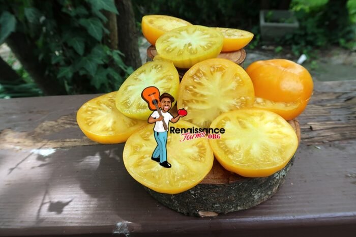 Big Orange From Amuz Tomato image
