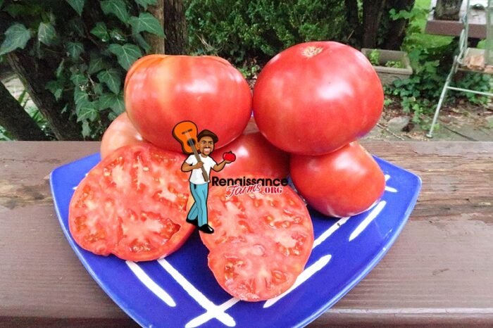 Buckeye State Tomato Slices