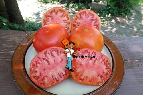 Linda's Faux Tomato Image
