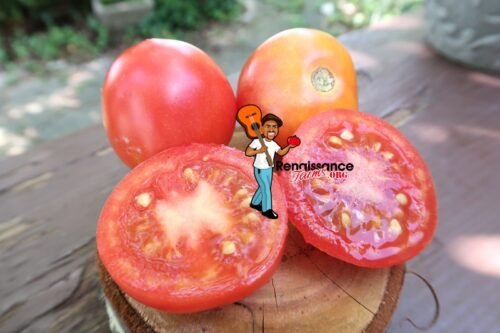 Paws Tomato