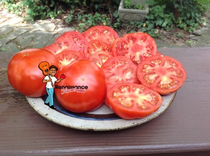 RAF Tomato Heirloom