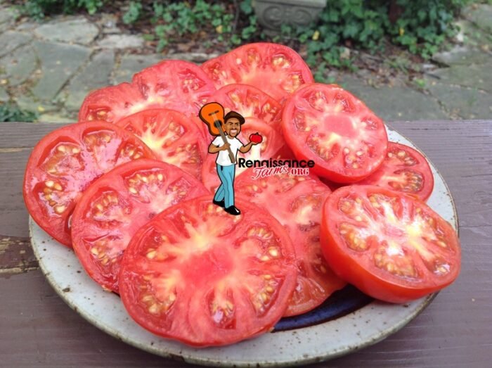 RAF Tomato Slices