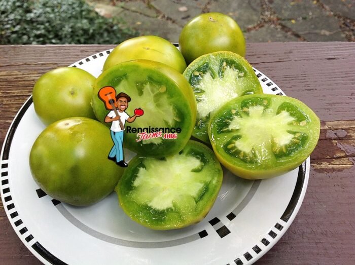 Dwarf Grandpa Gary's Green Tomatoes