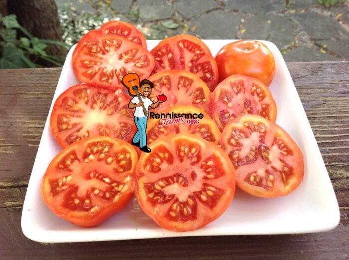 Dwarf Surender's Indian Curry Tomato sLICES