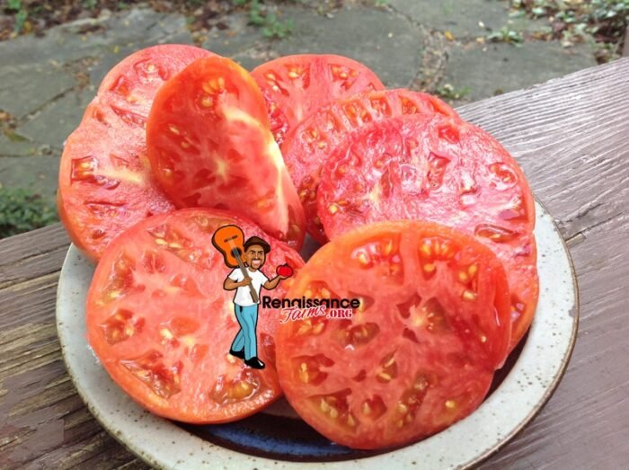 Winsall Tomato sLICING