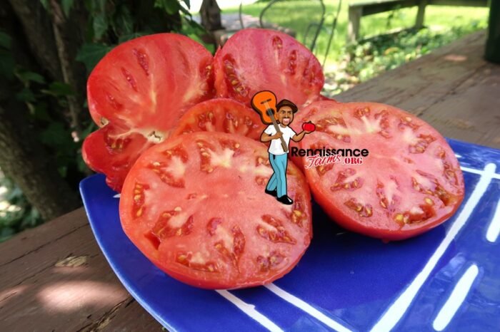 Winsall Tomato On Plate