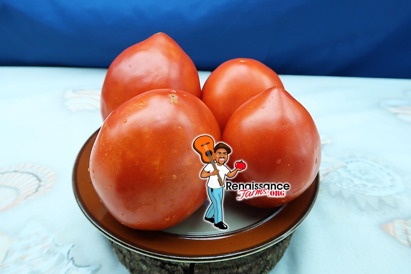Amish Paste Heirloom Roma Tomato Seeds