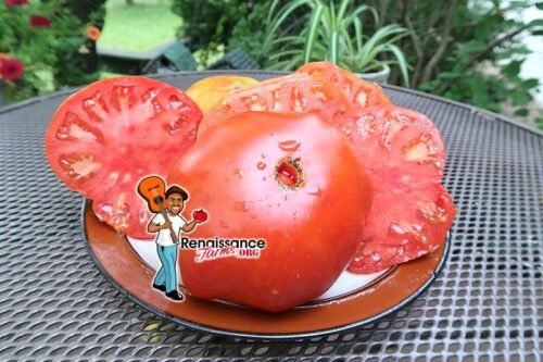 Dixiewine Tomato