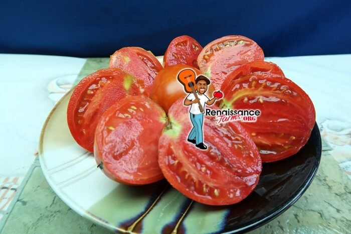 Dwarf Red Heart Tomato