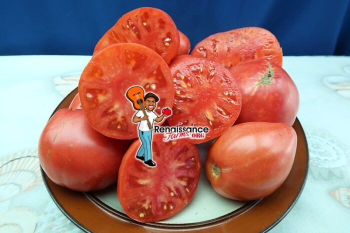 Gopak Tomato