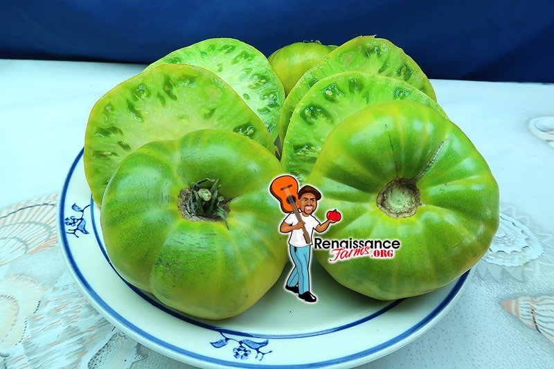 Grub's Mystery Green Tomato