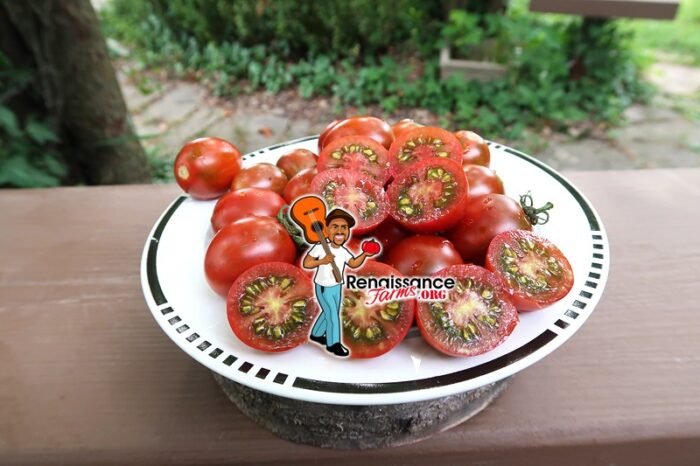 Hooked On Cherry Tomato