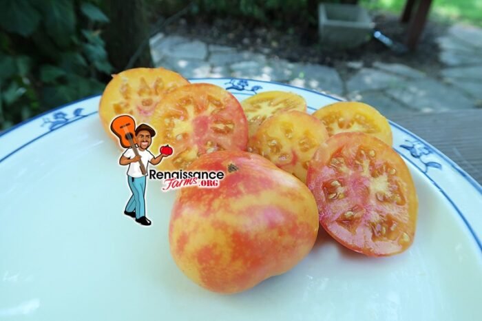 KARMA Peach Tomato