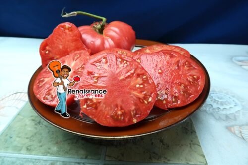Lambert's General Grant Tomato