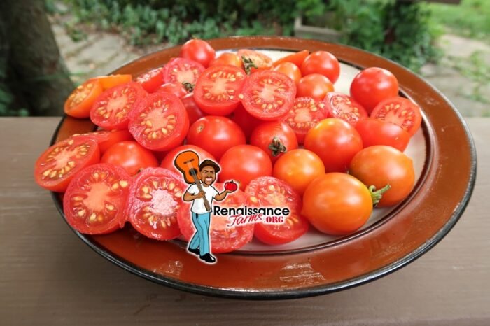 Orange Roussollini Tomato