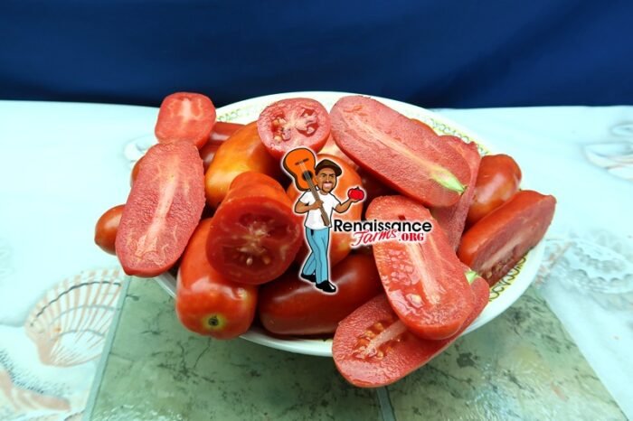 San Marzano 2 Tomato