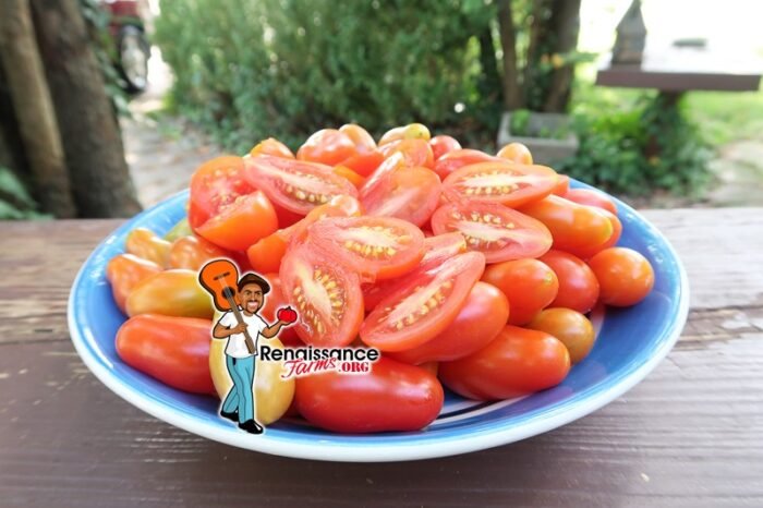San Marzano Piccolo Tomato