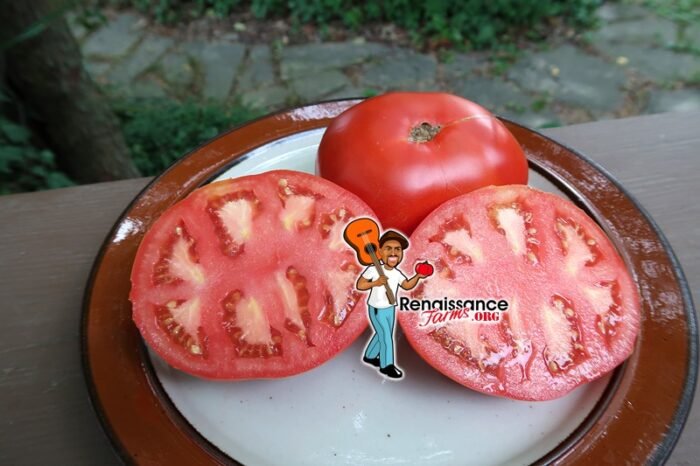 Tomato Van Wert Ohio