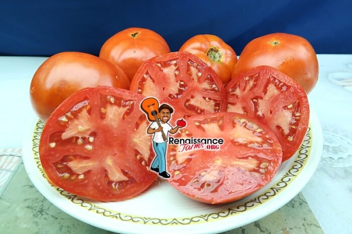 Van Wert Ohio Tomato