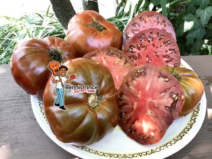 Abraham Brown Tomato