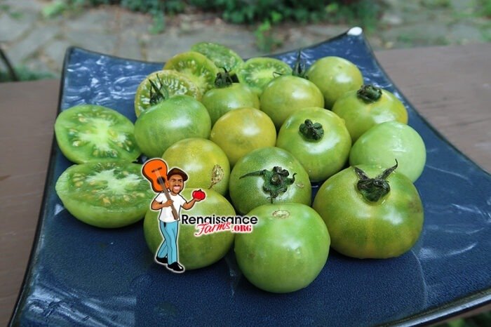 Green Krim Cherry Tomatoes