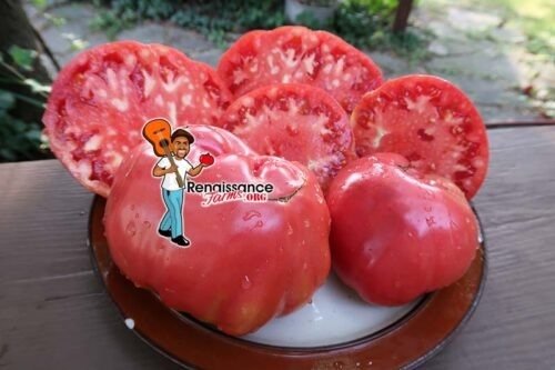 Joe's Portuguese Tomato