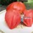 Kentucky Beefheart Tomato