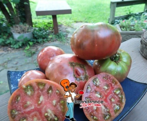 New Cheef Tomato