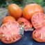 Portuguese Bullheart Tomato