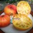 Yellow Stone Tomato