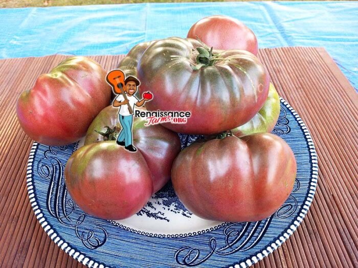 DB Cooper Tomato
