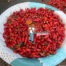 Tiny Samoa Pepper